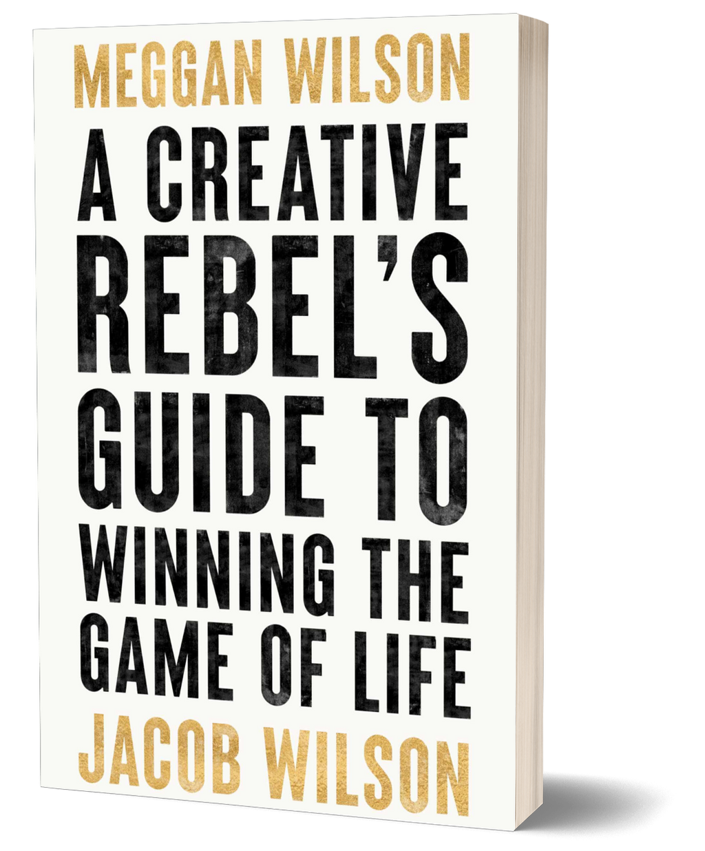 A Creative Rebel's Guide to Winning the Game of Life